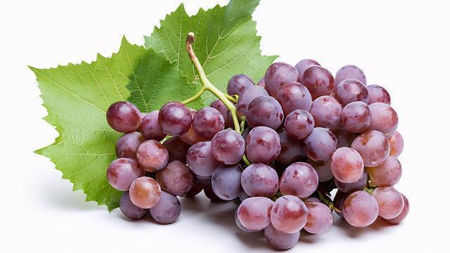 六枝妇女堕胎后可以吃葡萄